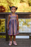 Banksia Dress and Top PDF Sewing Pattern