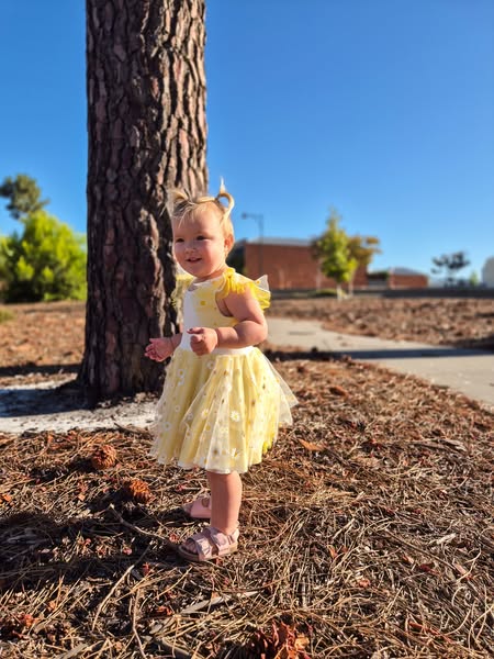 Aralia Dress PDF Sewing Pattern